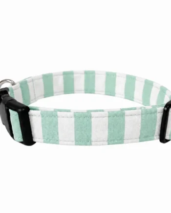 Collar de click Verano Verde