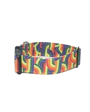 Collar de Nylon para Perro Click Arco Iris