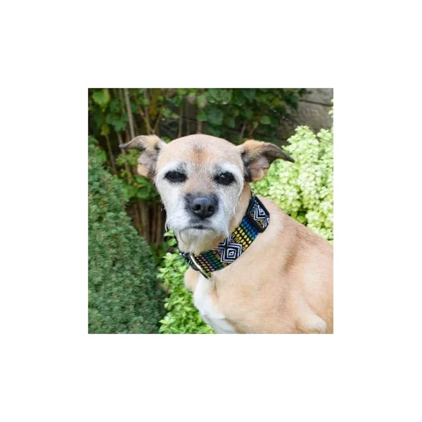 Collar de Nylon para Perro Click Miniwax