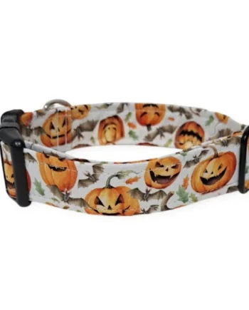 Collar de Perro Click Calabazas y Murciélagos