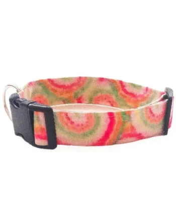 Collar de Perro Click Espirales| Collares Perrunos