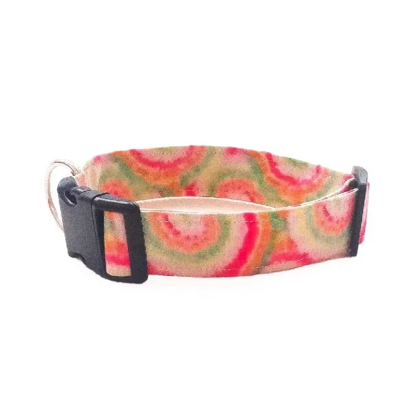 Collar de Perro Click Espirales| Collares Perrunos