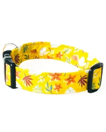 Collar de Perro Click Otoño