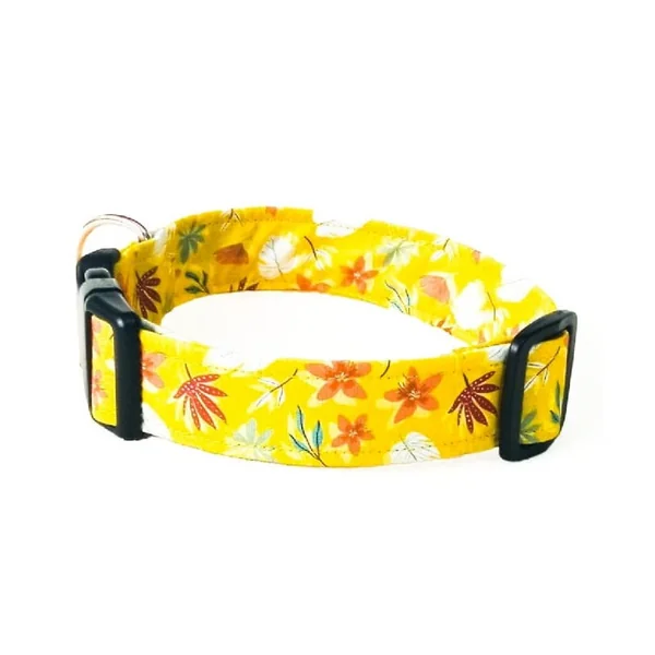 Collar de Perro Click Otoño