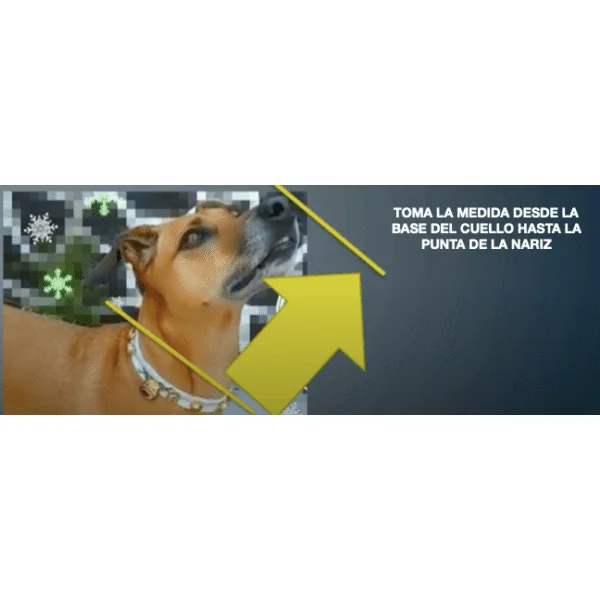 Collar Isabelino ecoprotec antilamido perros y gatos