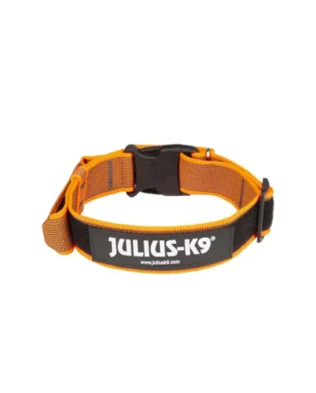 Collar JULIUS-K9 con Asa de Agarre Naranja