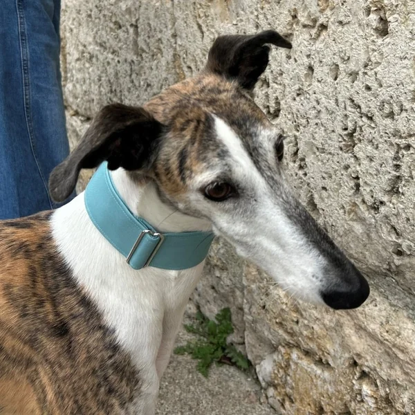 Collar Martingale Aguamarina
