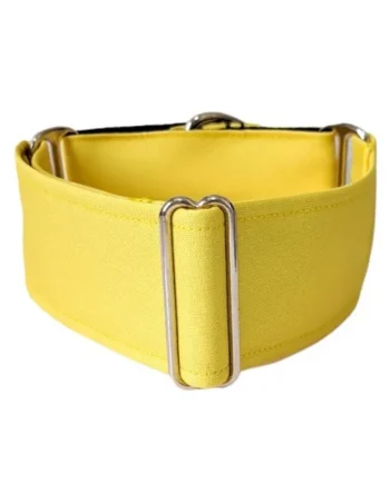 Collar Martingale Amarillo