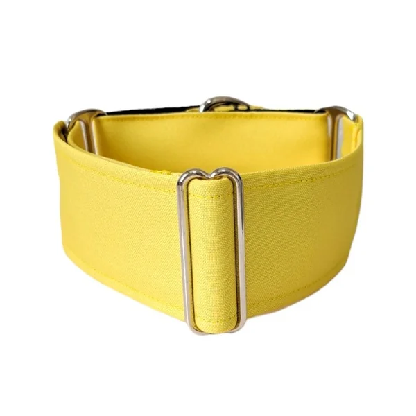 Collar Martingale Amarillo