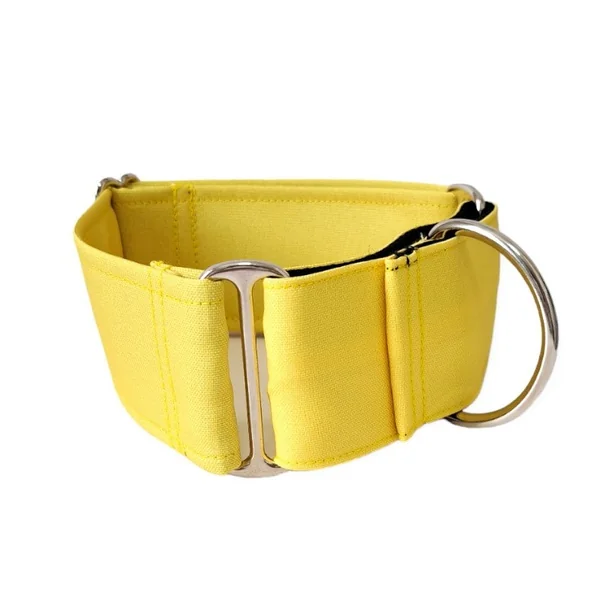 Collar Martingale Amarillo