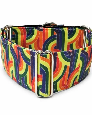 Collar Martingale Arco Iris para perros