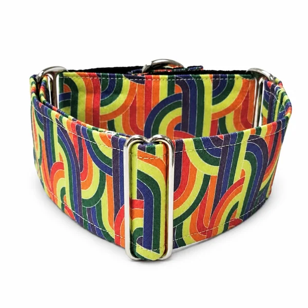 Collar Martingale Arco Iris para perros
