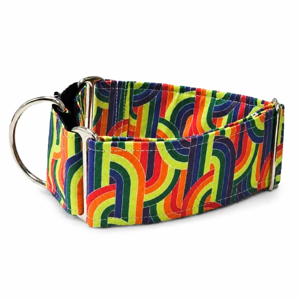 Collar Martingale Arco Iris para perros