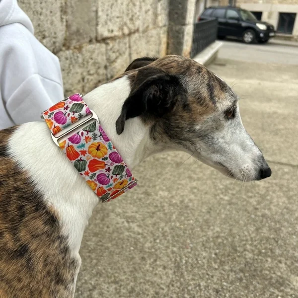 Collar Martingale Calabazas Multicolor