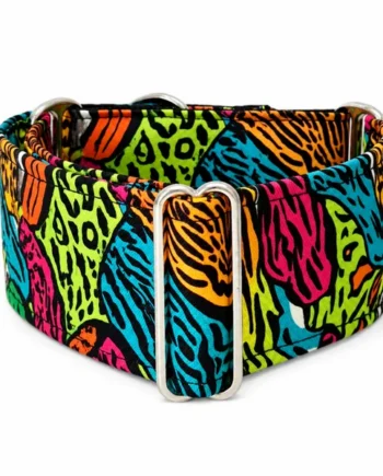 Collar Martingale Festival Print para perros