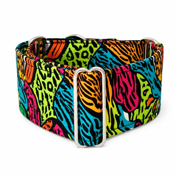Collar Martingale Festival Print para perros