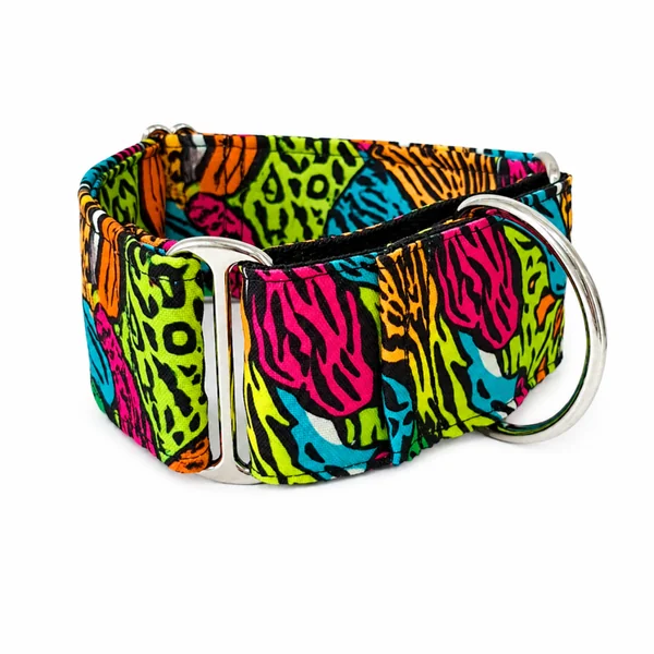 Collar Martingale Festival Print para perros