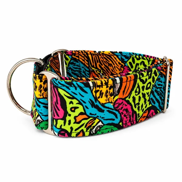 Collar Martingale Festival Print para perros