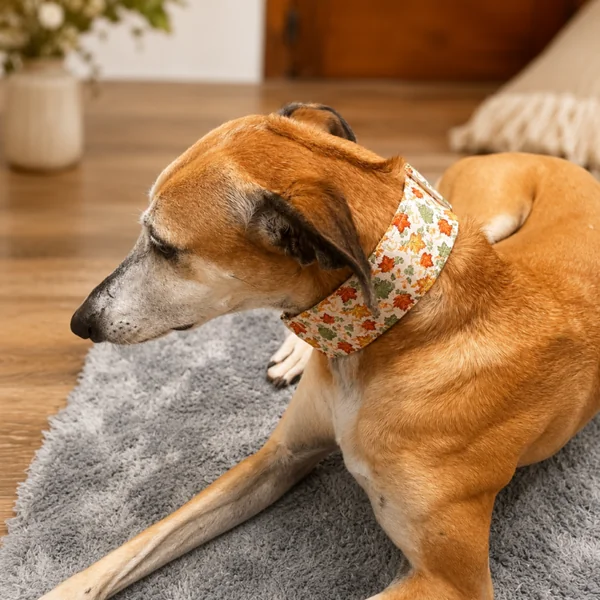 Collar Martingale Hojas para perros