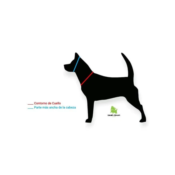Collar Martingale Jardín para perros