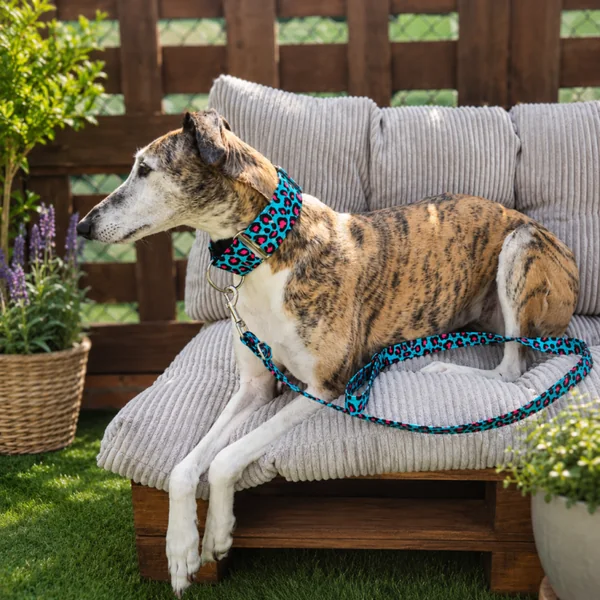 Collar Martingale Leopardo Rosa