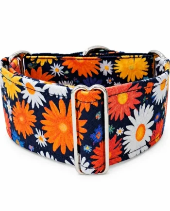Collar Martingale Margaritas para perros