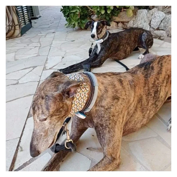 Collar Martingale Mini Rombos