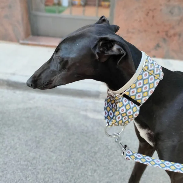 Collar Martingale Mini Rombos