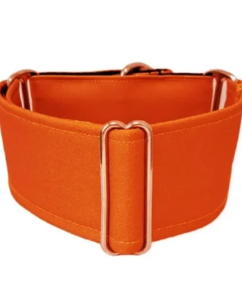 Collar Martingale Naranja