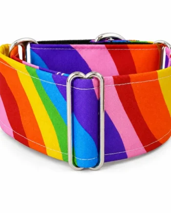 Collar Martingale Orgullo antiescape para perros