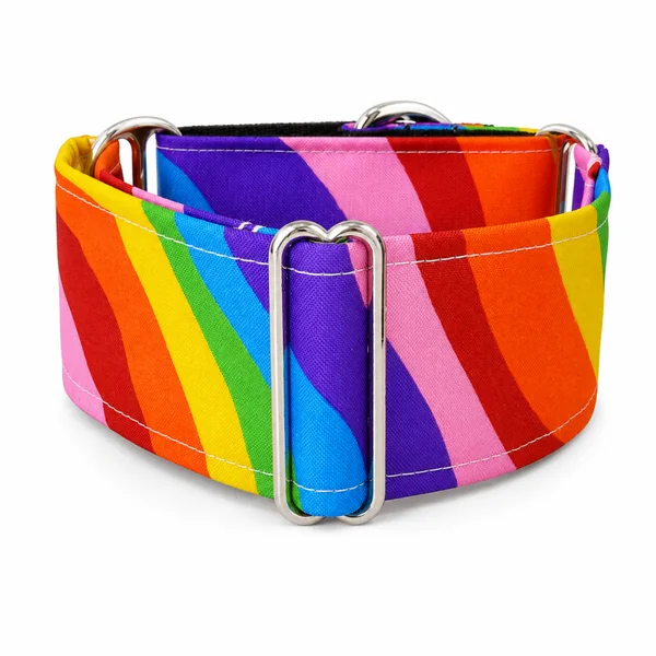 Collar Martingale Orgullo antiescape para perros