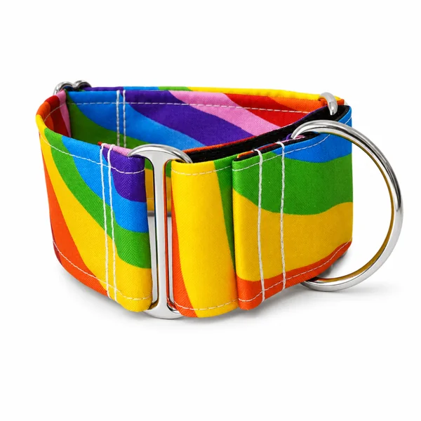 Collar Martingale Orgullo antiescape para perros