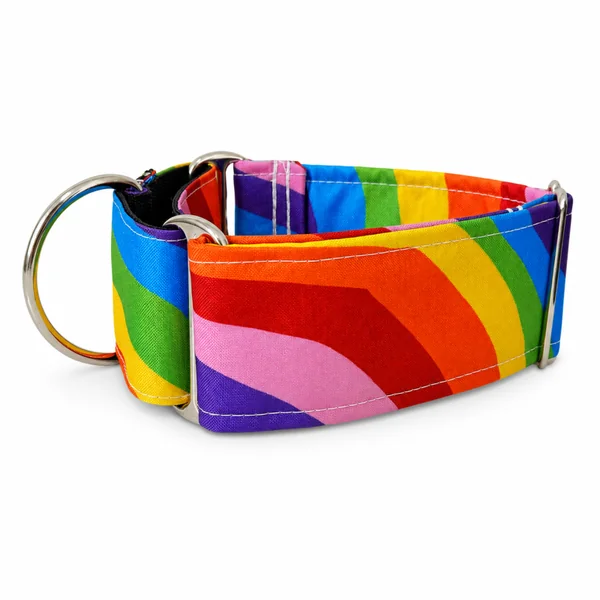 Collar Martingale Orgullo antiescape para perros