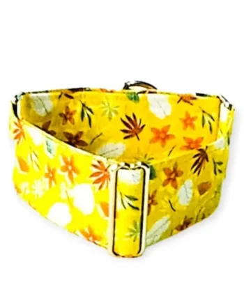 Collar Martingale Otoño