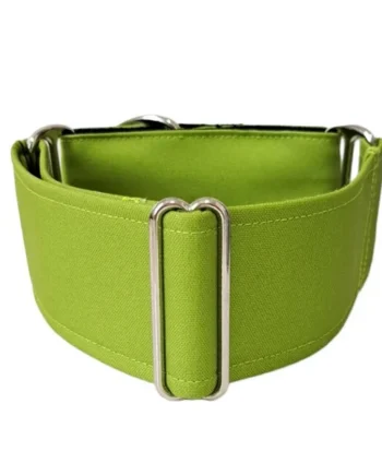 Collar Martingale Pistacho