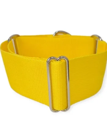 Collar Martingale Todoterreno Amarillo
