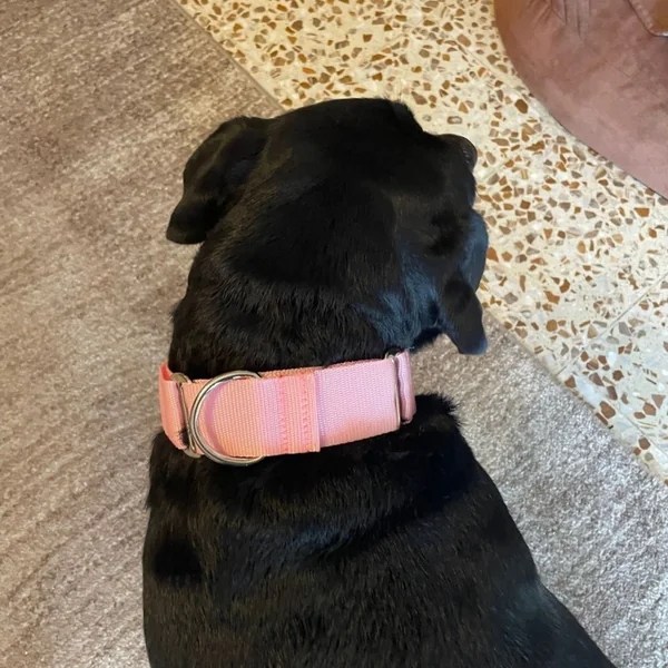 Collar Martingale Todoterreno Rosa