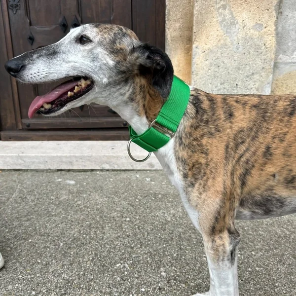 Collar Martingale Todoterreno Verde