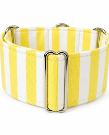 Collar Martingale Verano Amarillo