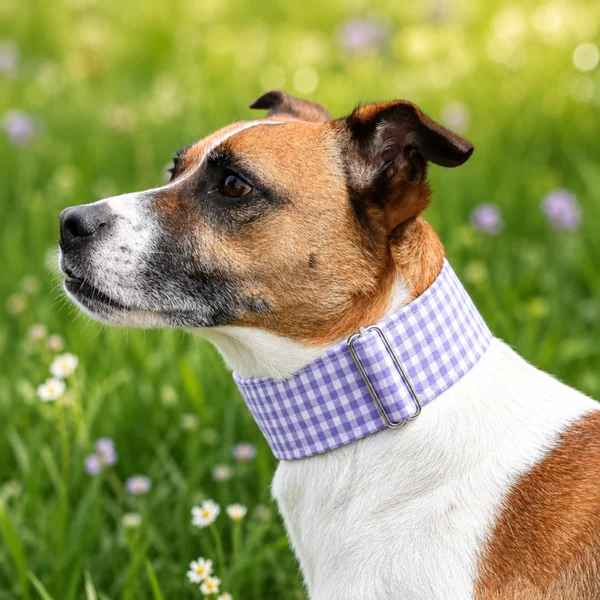 Collar Martingale Vichy Lila