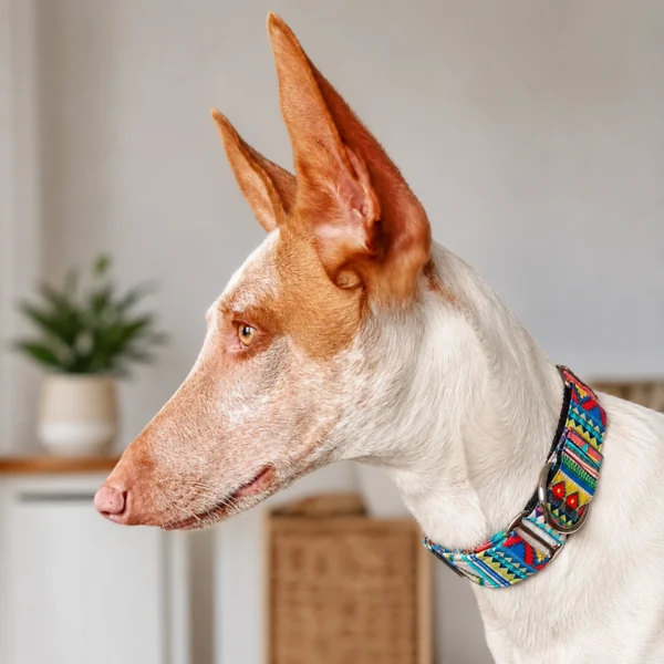 Collar Martingale Étnico Azul para perros