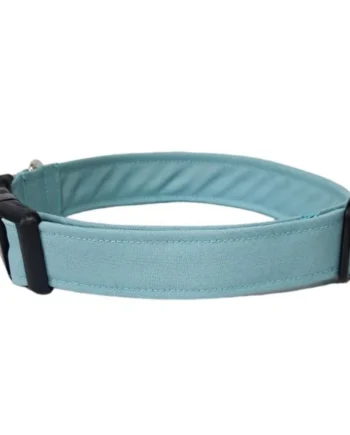 Collar para Perro Click Aguamarina
