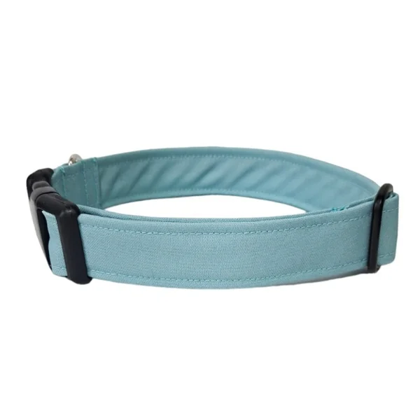 Collar para Perro Click Aguamarina