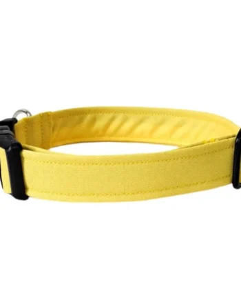 Collar para Perro Click Amarillo