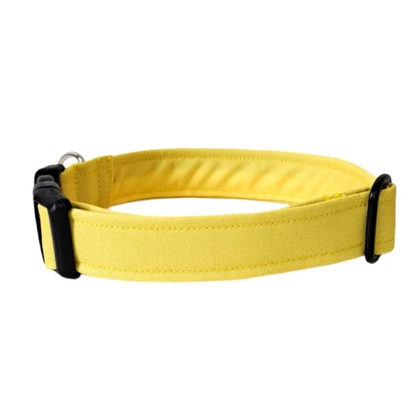 Collar para Perro Click Amarillo