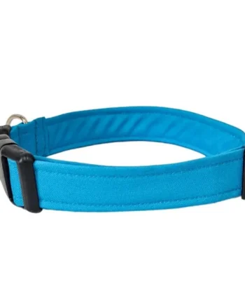 Collar para Perro Click Azul