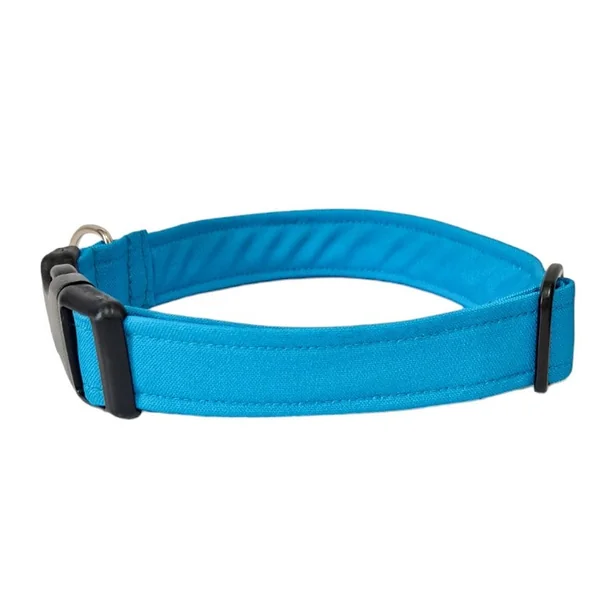 Collar para Perro Click Azul