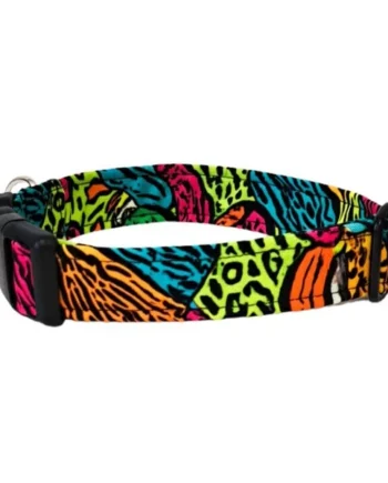 Collar para Perro Click Festival Print