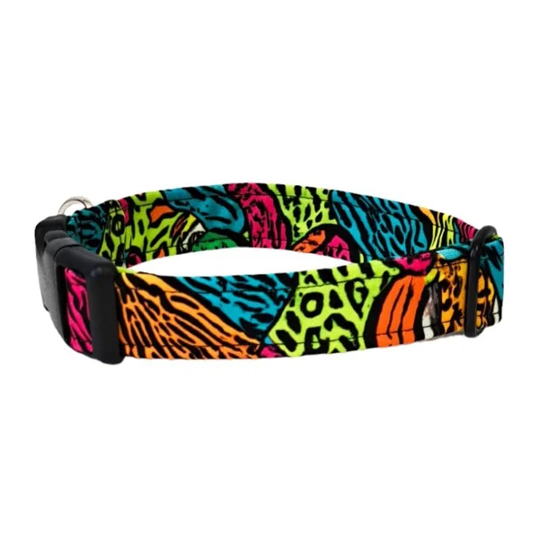 Collar para Perro Click Festival Print