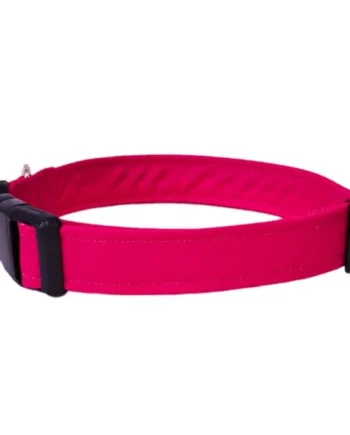 Collar para Perro Click Fucsia